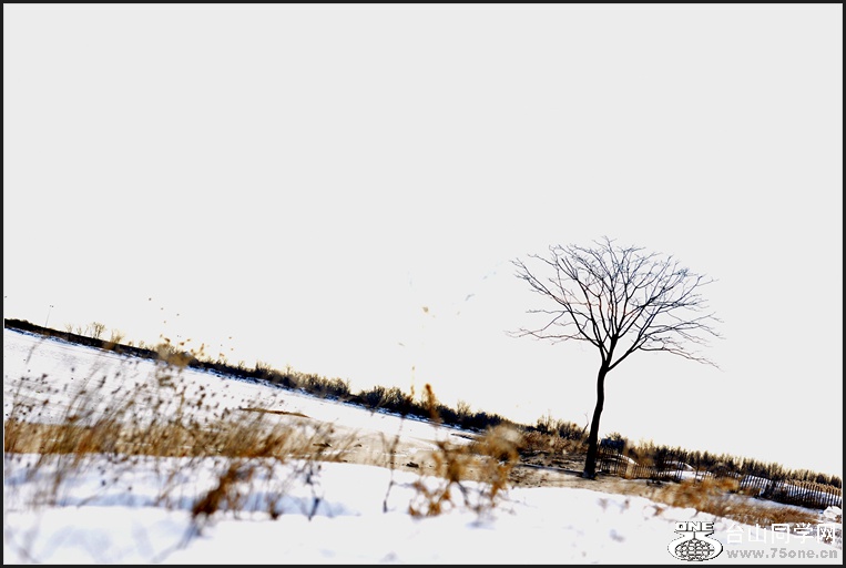 DSC_6363.jpg