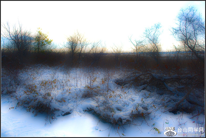 DSC_6385.jpg
