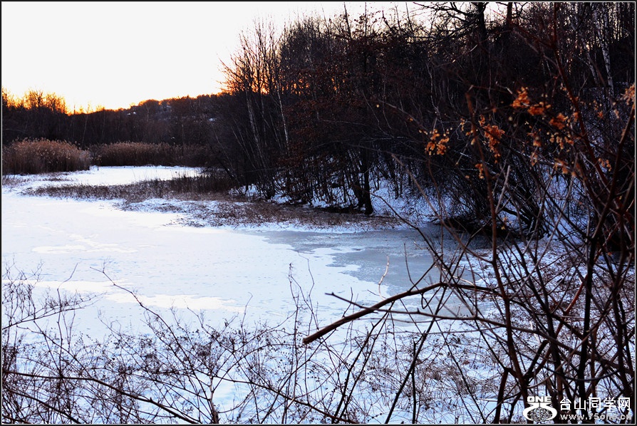 DSC_1316.jpg