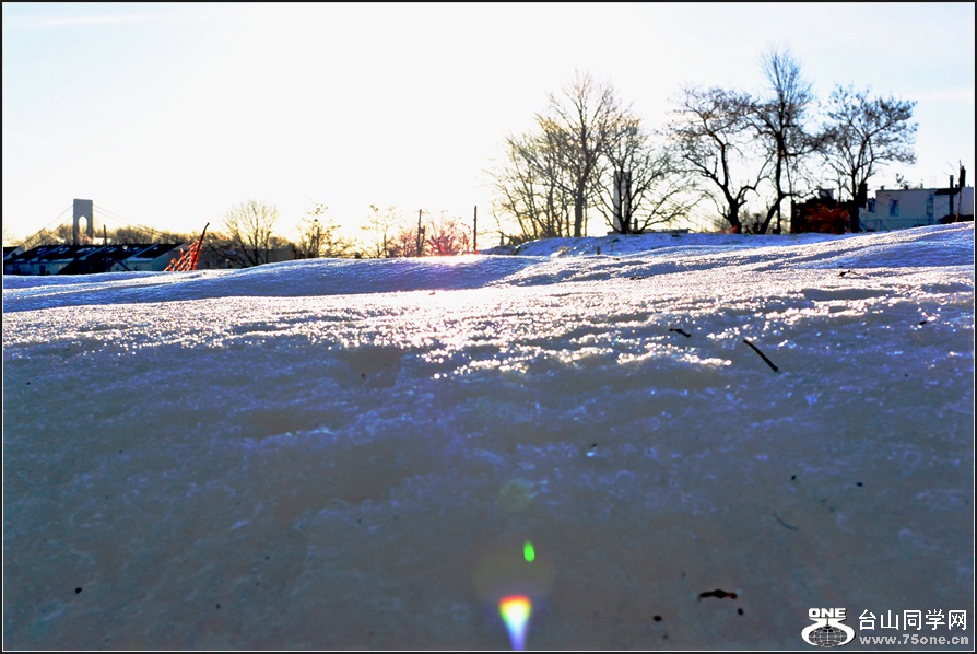 DSC_1407.jpg