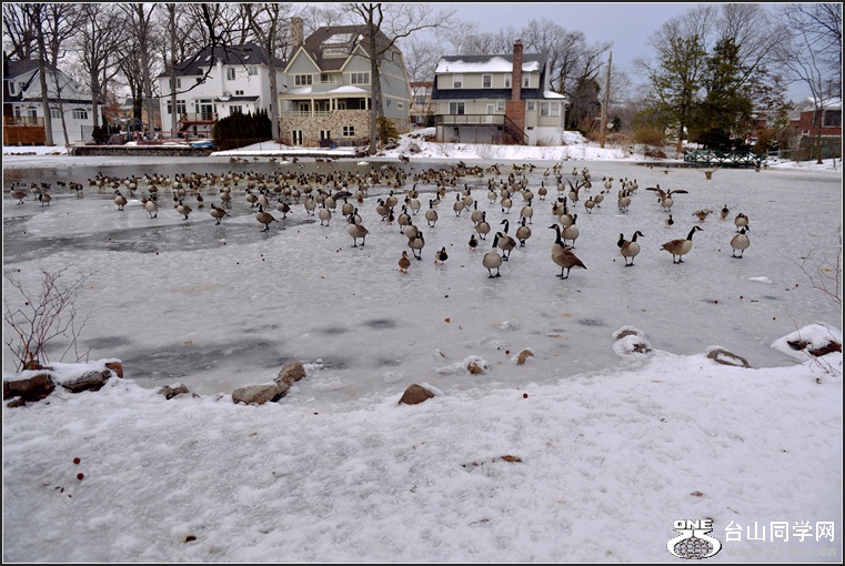 DSC_6846.jpg