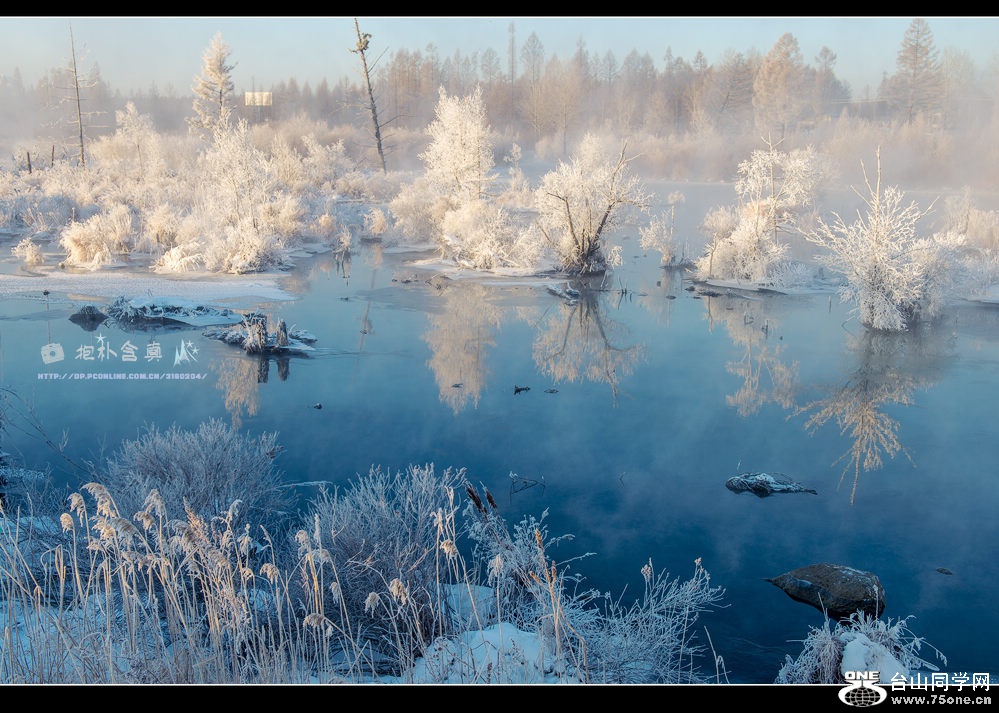 DSC_9905s.jpg