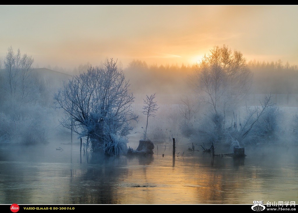 DSC_0084s.jpg