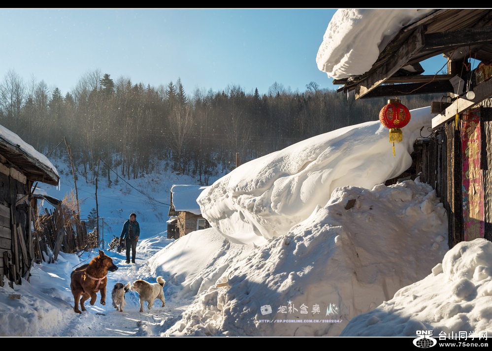 DSC_1110-1s.jpg