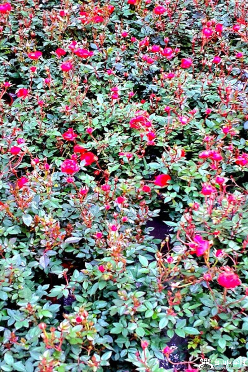 2015-02-13 19.51.08.jpg