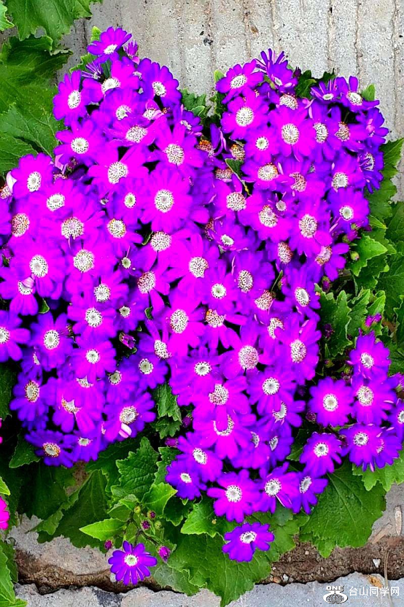 2015-02-13 19.55.11.jpg