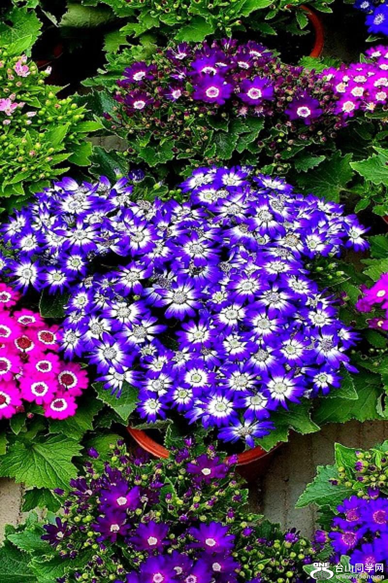 2015-02-13 19.54.49.jpg