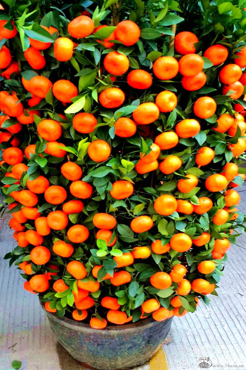 2015-02-13 19.52.52.jpg