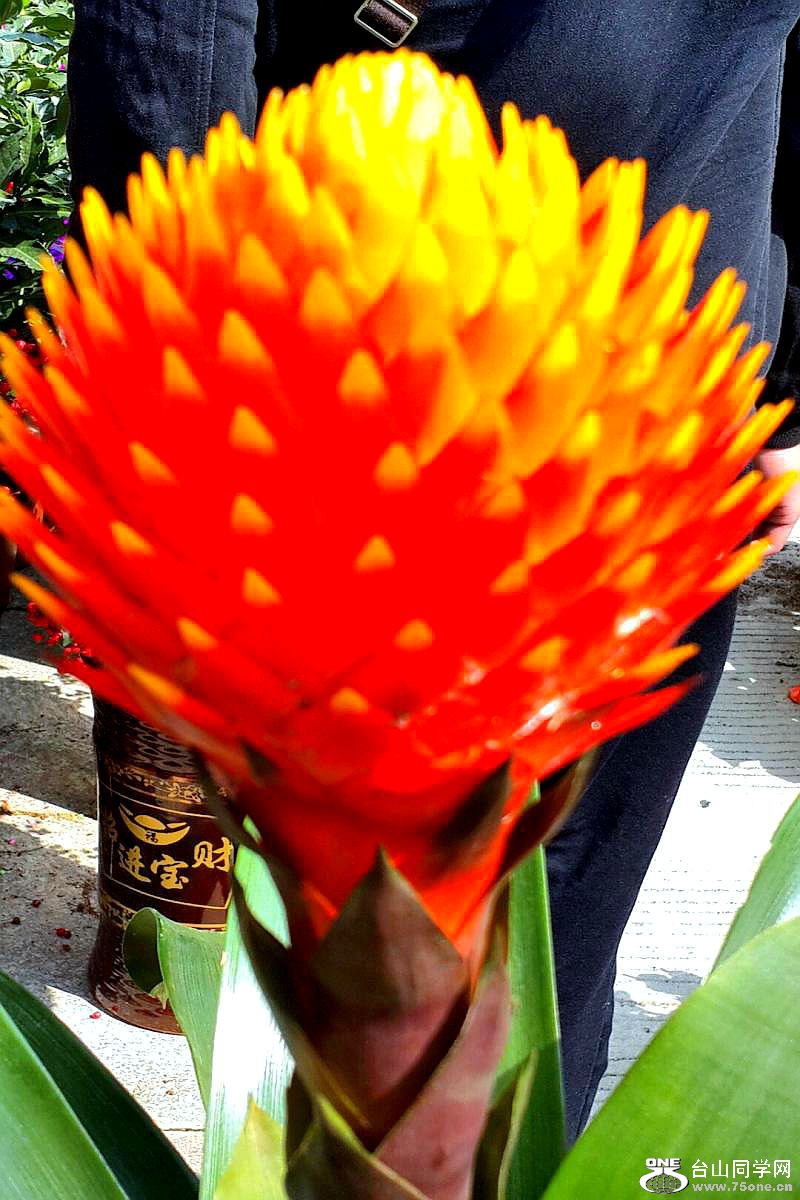 2015-02-13 19.53.38.jpg