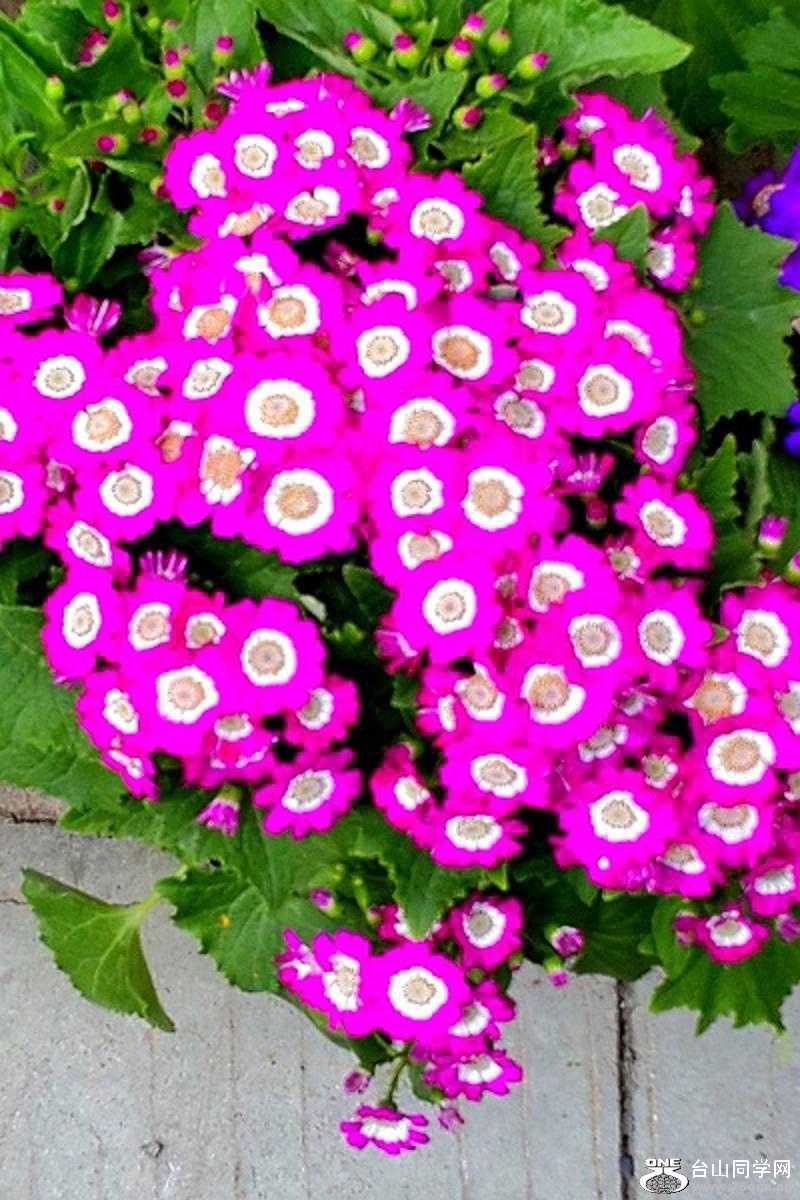 2015-02-13 19.55.47.jpg