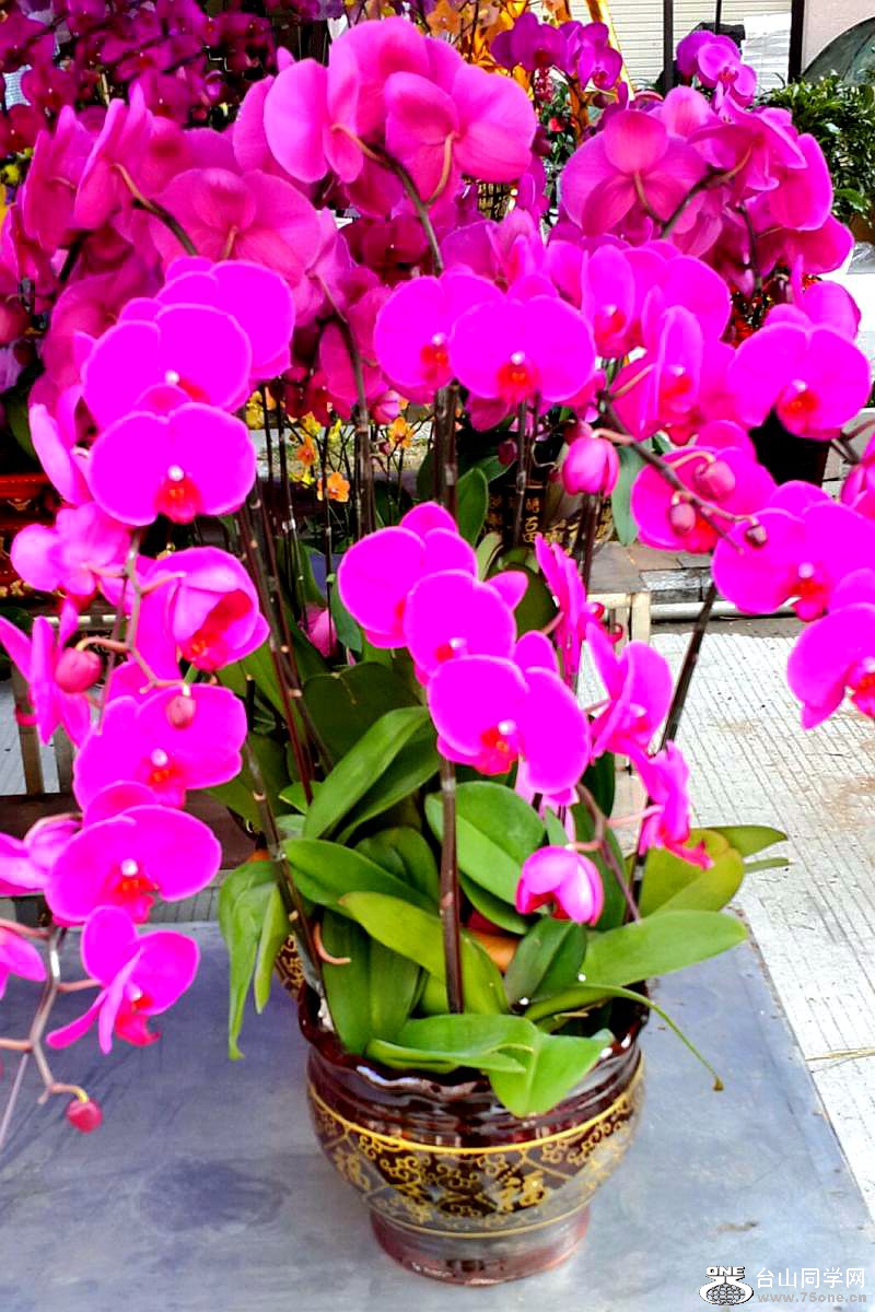 2015-02-13 19.50.24.jpg