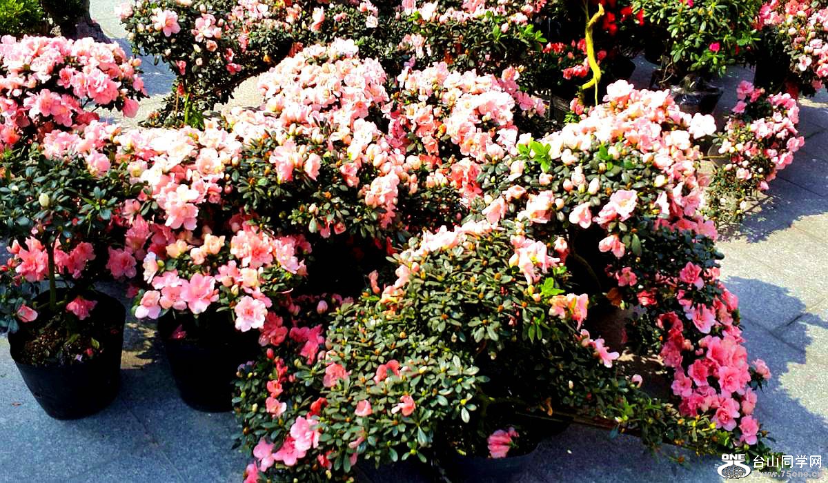 2015-02-13 19.43.02.jpg