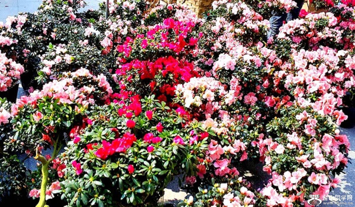 2015-02-13 19.42.48.jpg