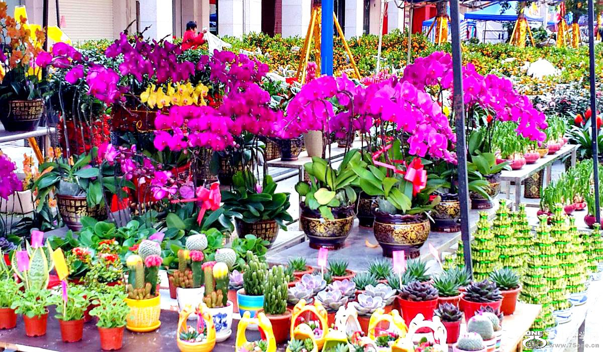 2015-02-13 19.50.54.jpg