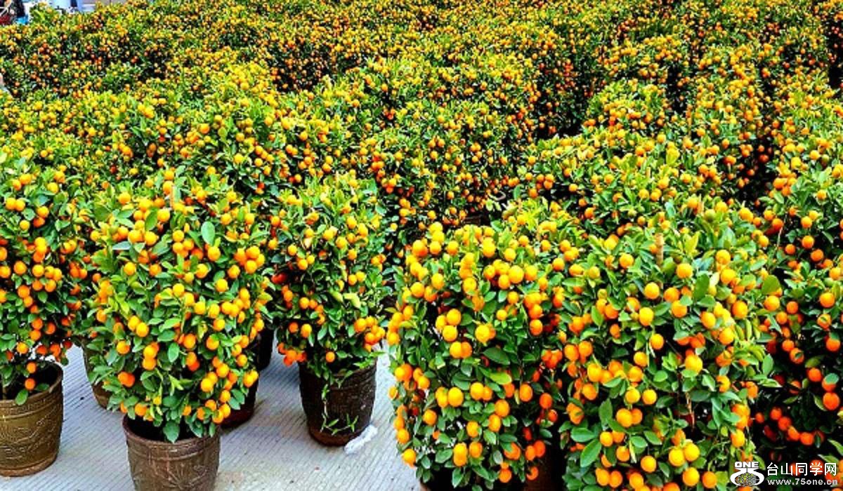 2015-02-13 19.52.12.jpg