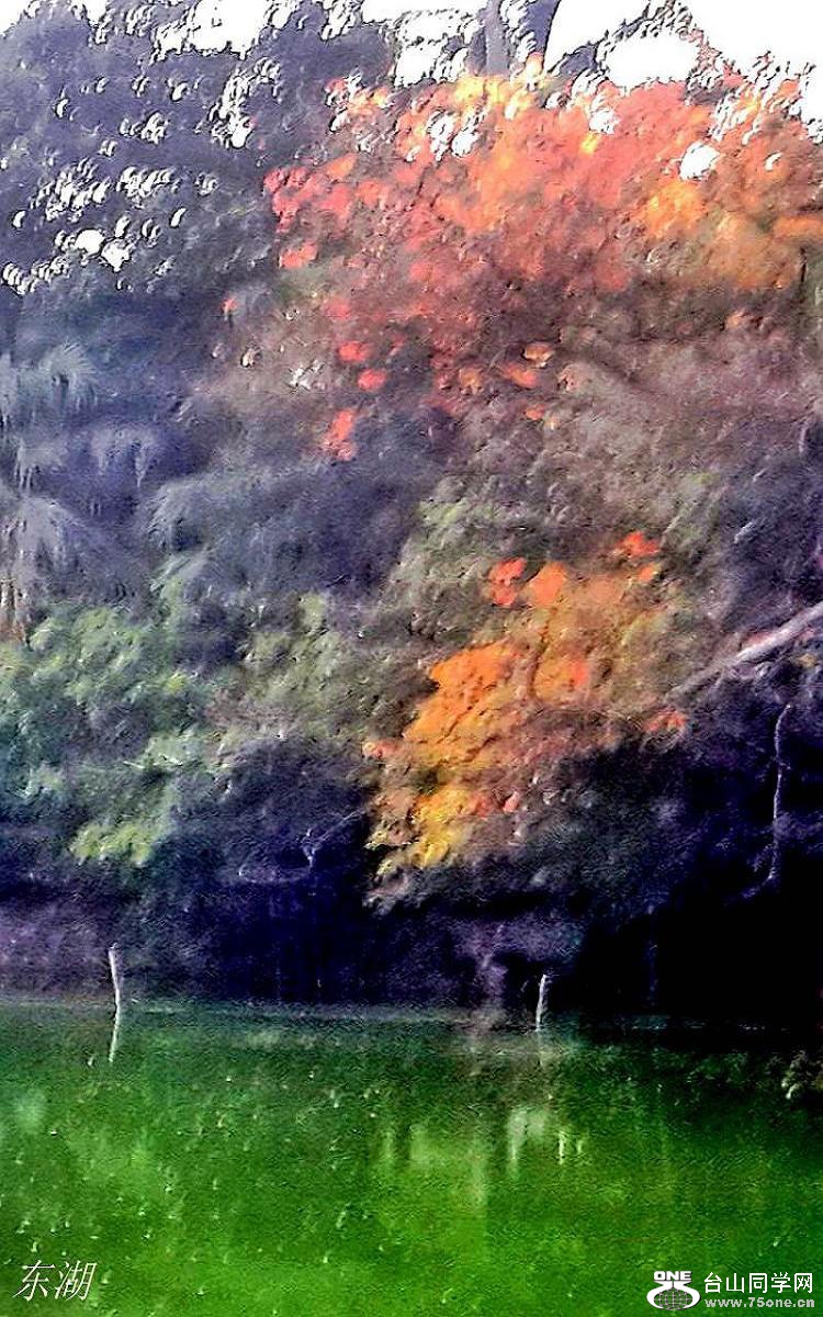 2015-01-27 15.44.37.jpg