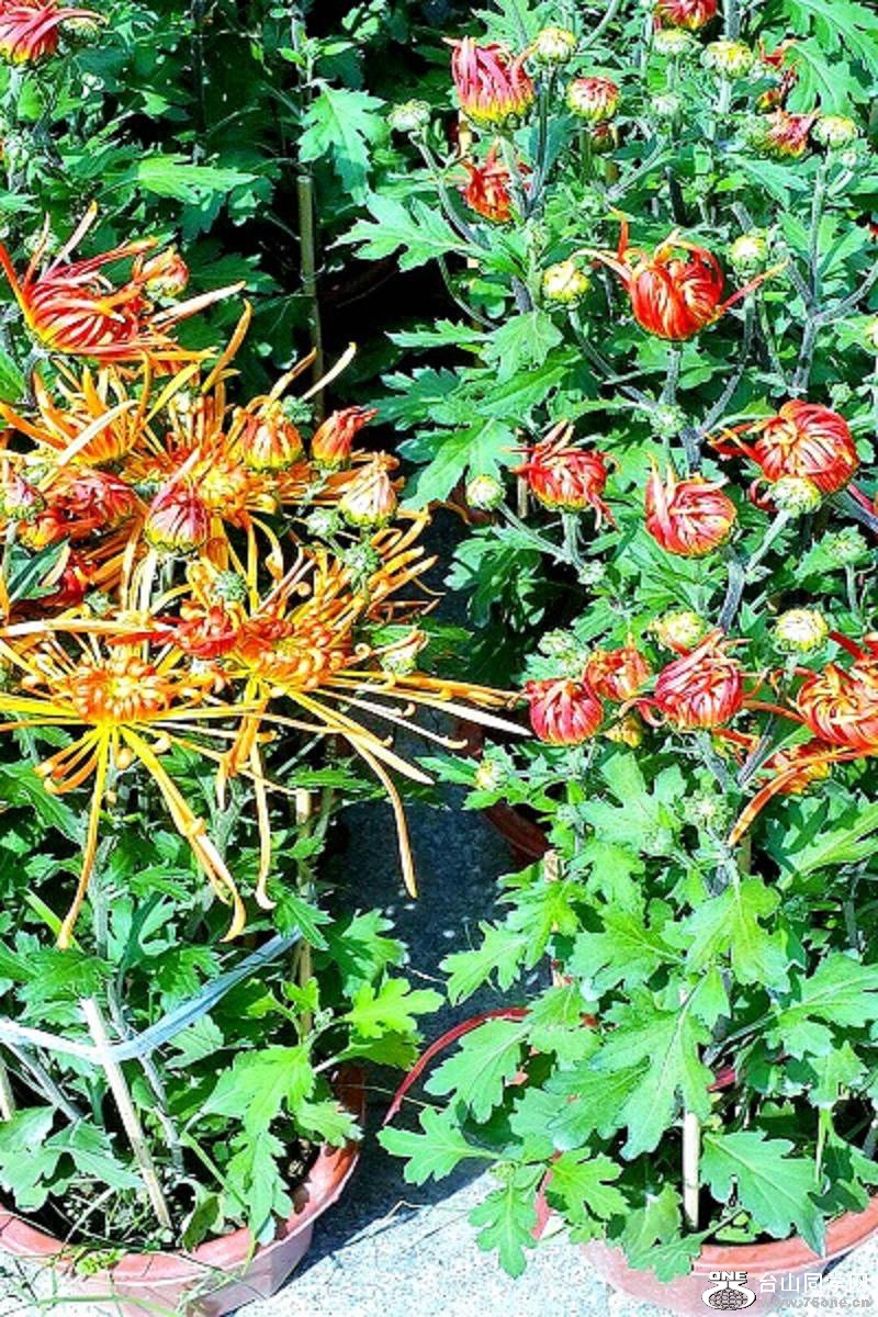 2015-02-13 19.56.42.jpg