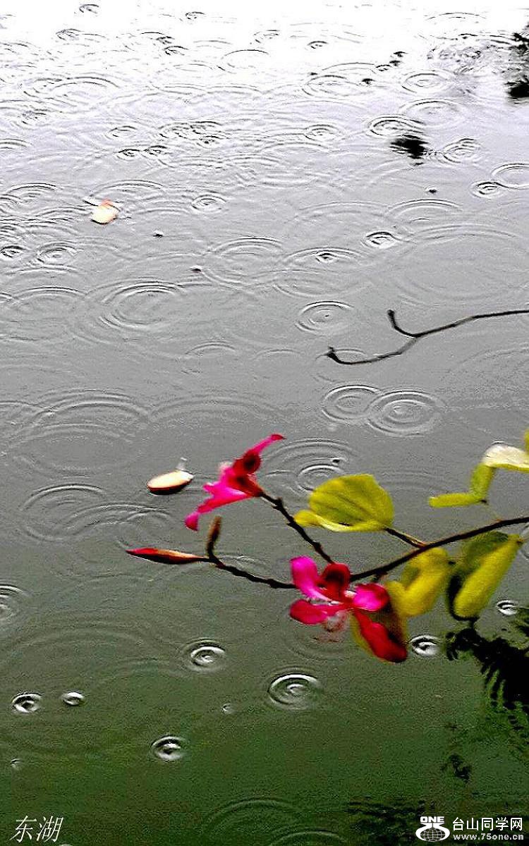 2015-01-27 15.46.11.jpg