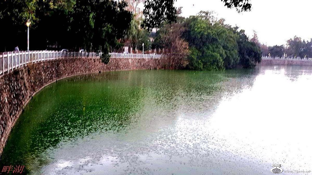 2015-01-27 15.43.30.jpg