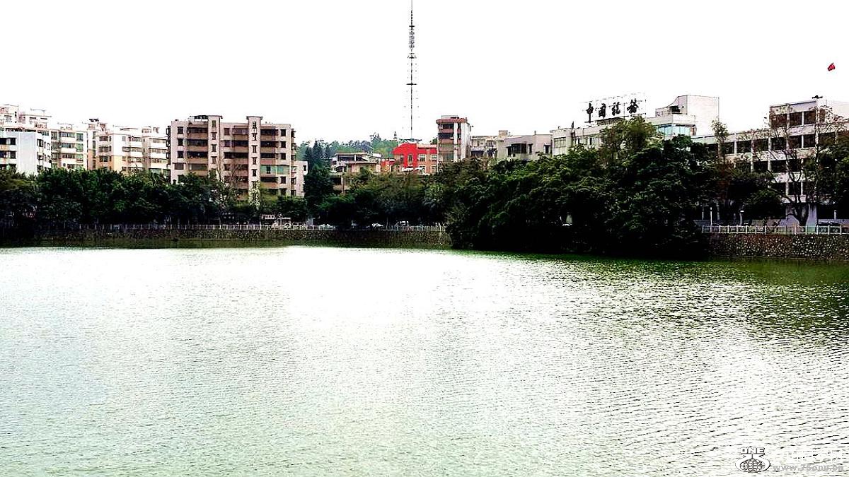 2015-01-28 15.38.15.jpg