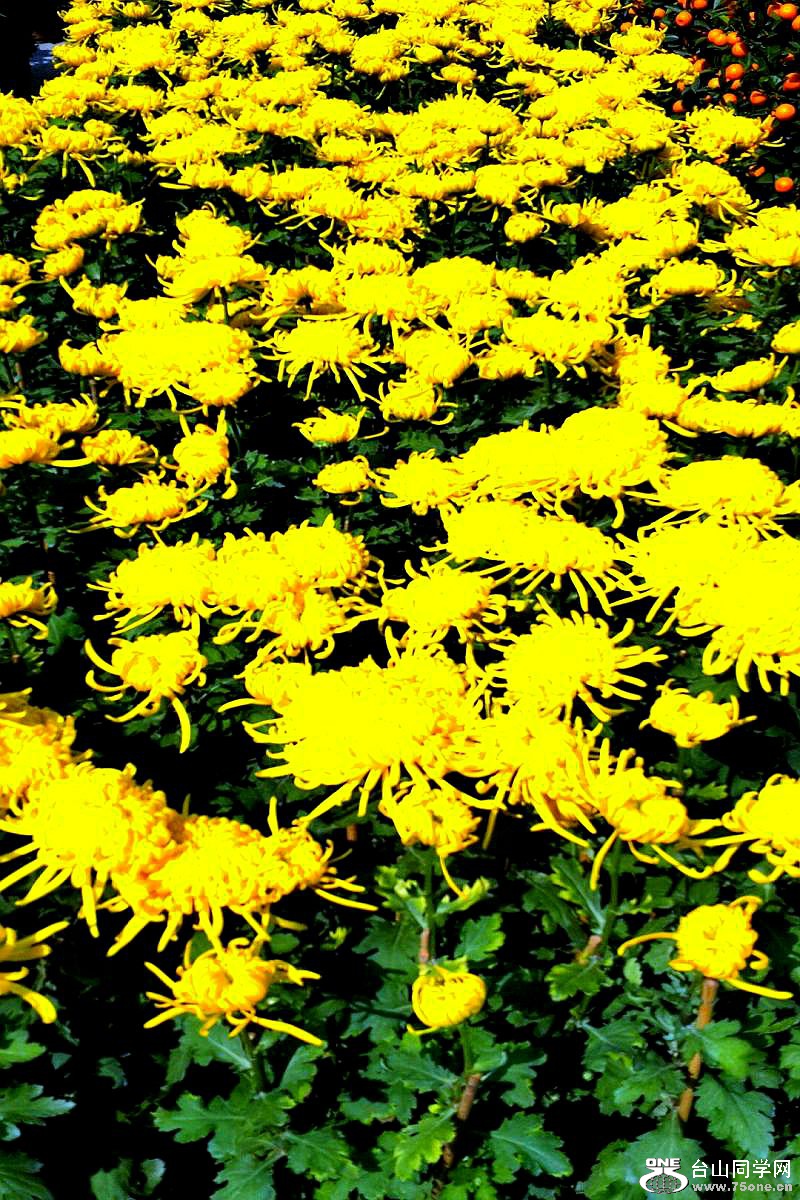 2015-02-13 19.43.32.jpg