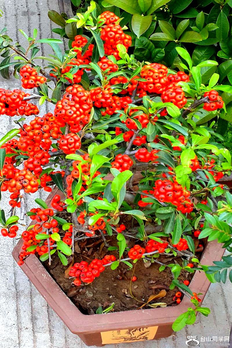 2015-02-13 19.46.29.jpg