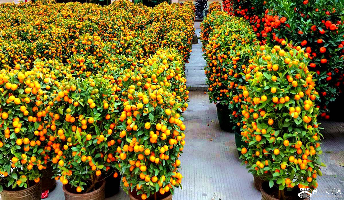 2015-02-13 19.52.35.jpg