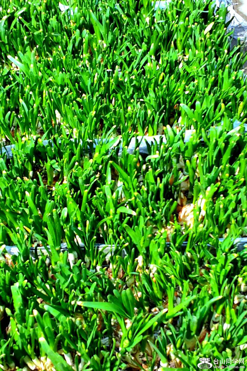 2015-02-13 19.51.22.jpg