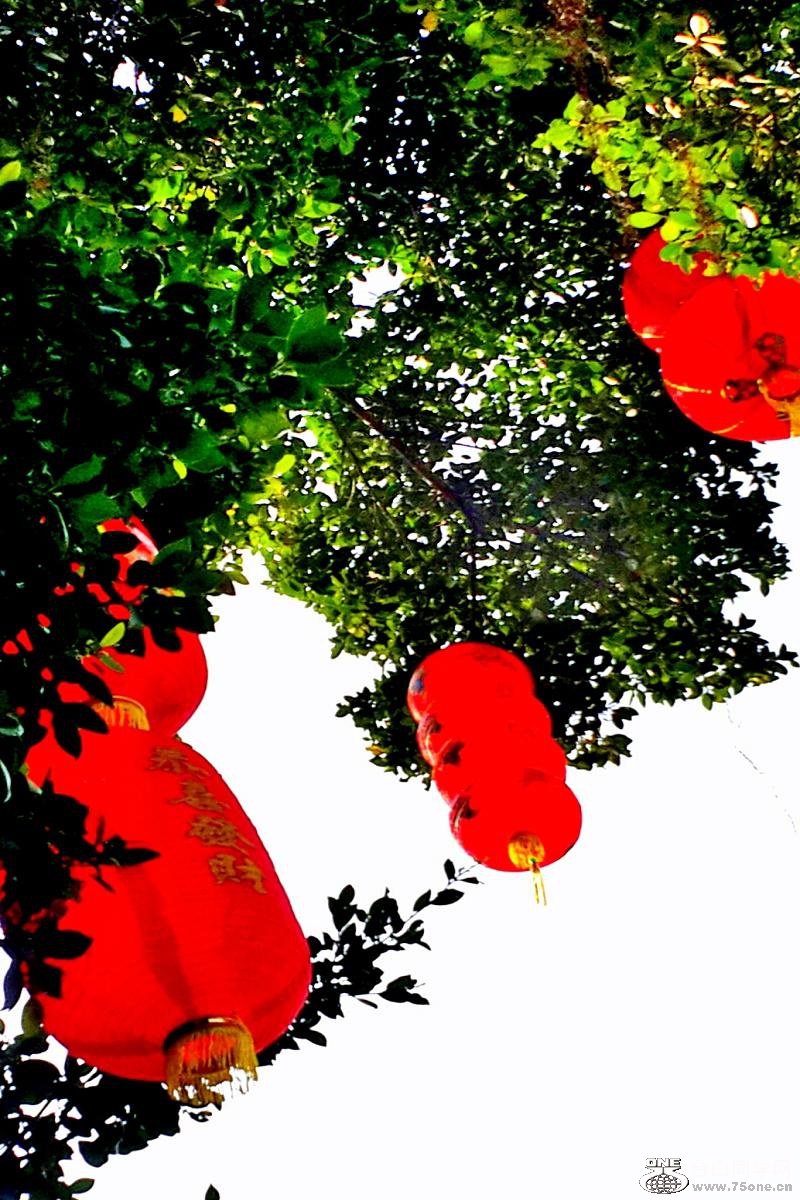 2015-02-13 20.05.21.jpg