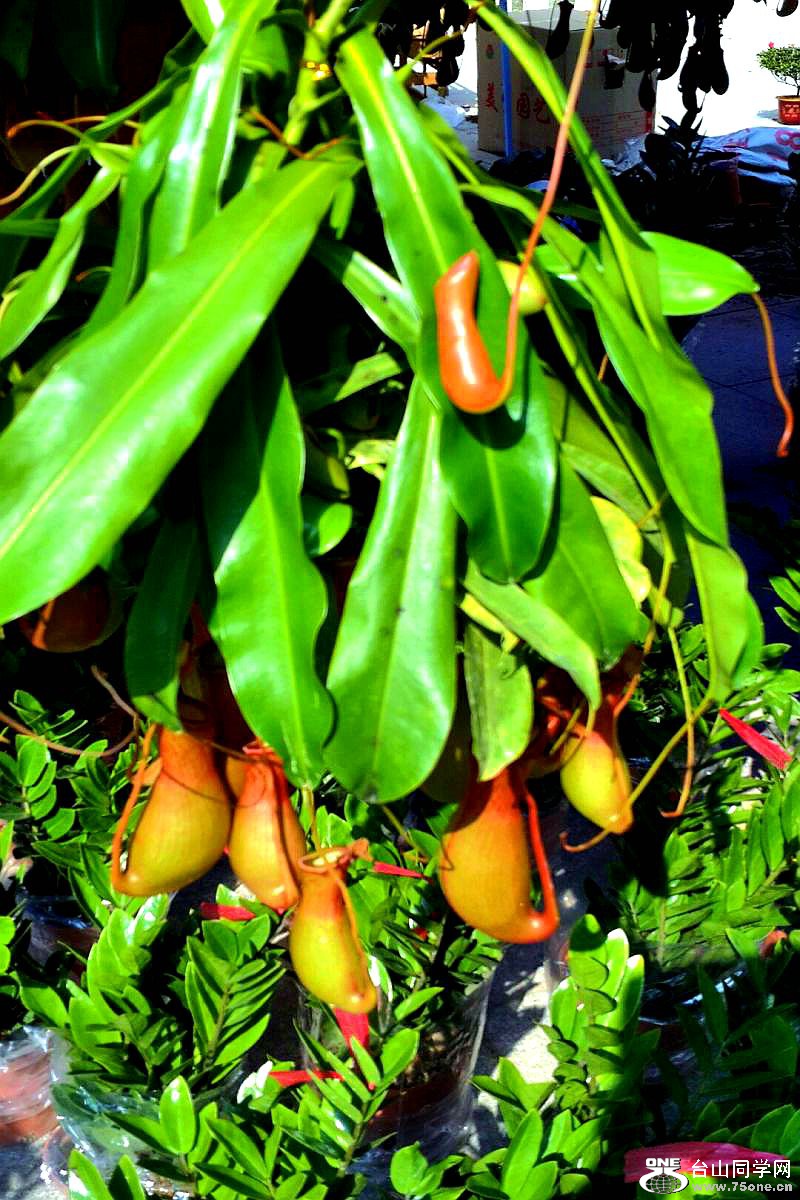 2015-02-13 19.40.25.jpg