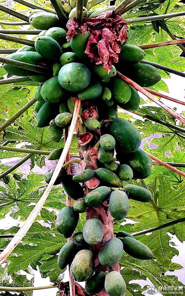 2015-01-28 15.29.59.jpg