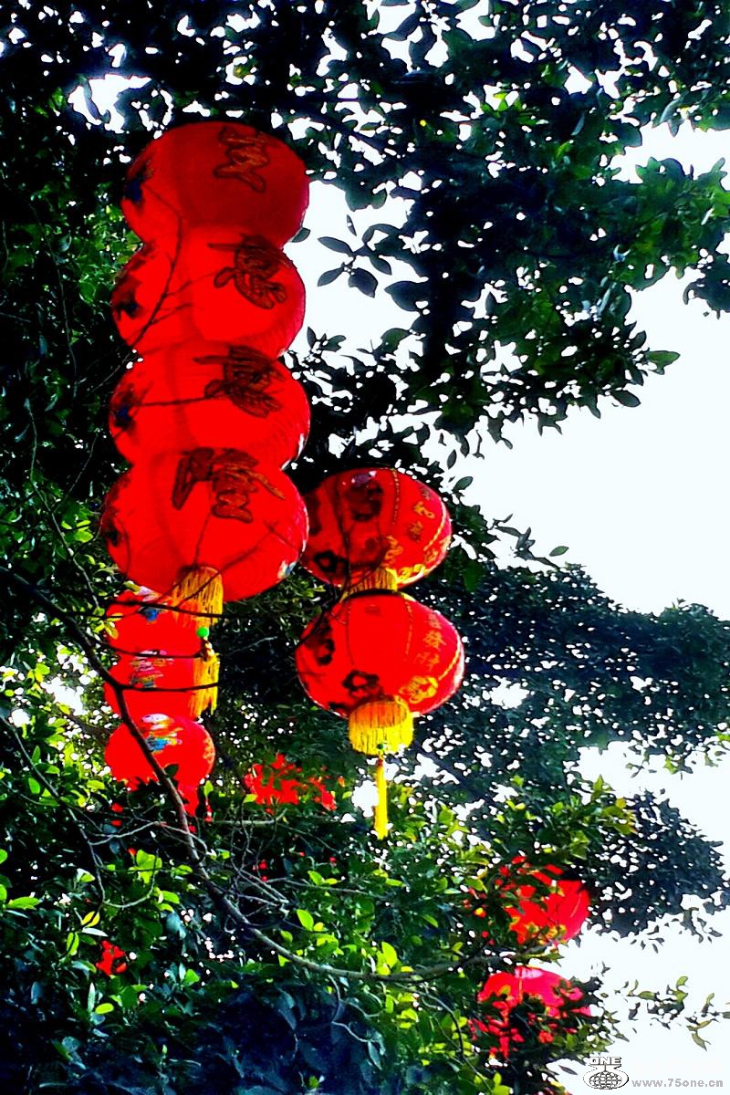 2015-02-13 20.05.53.jpg