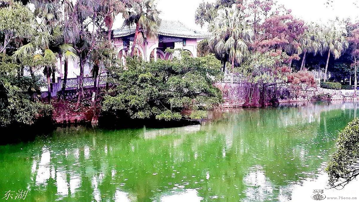 2015-01-27 15.44.52.jpg