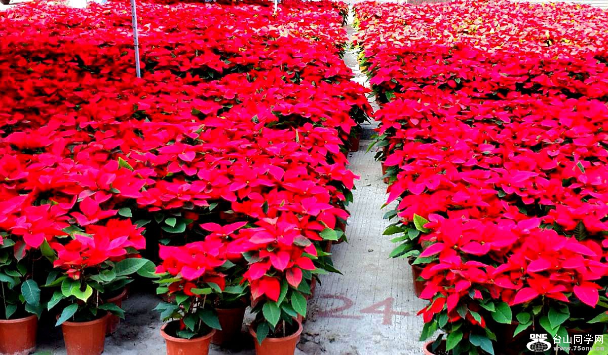 2015-02-13 19.49.59.jpg