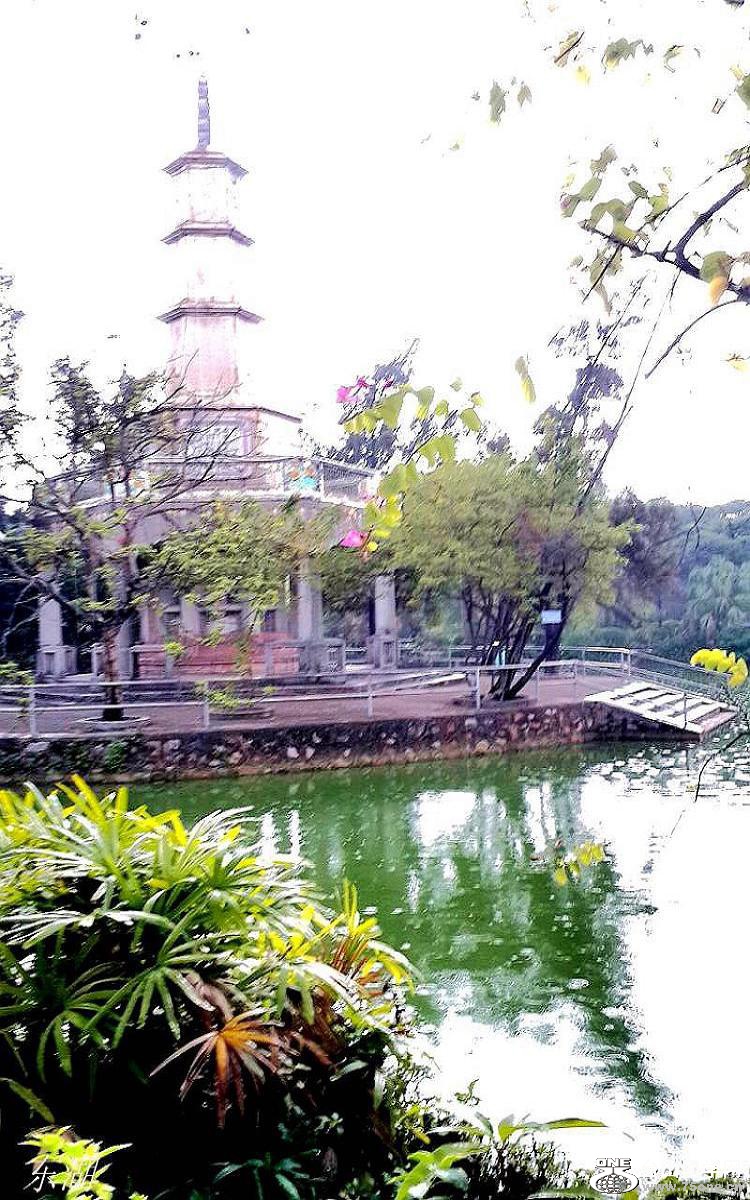 2015-01-27 15.47.00.jpg