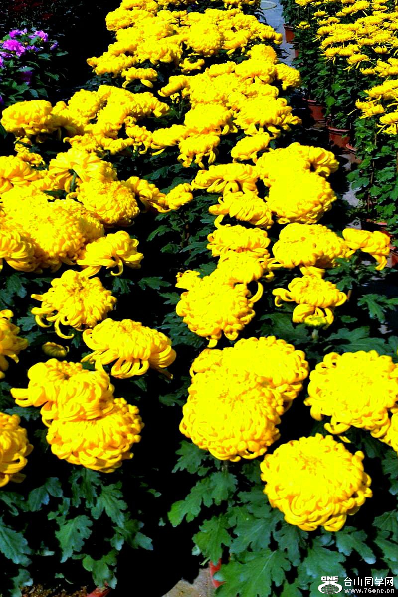 2015-02-13 19.43.48.jpg