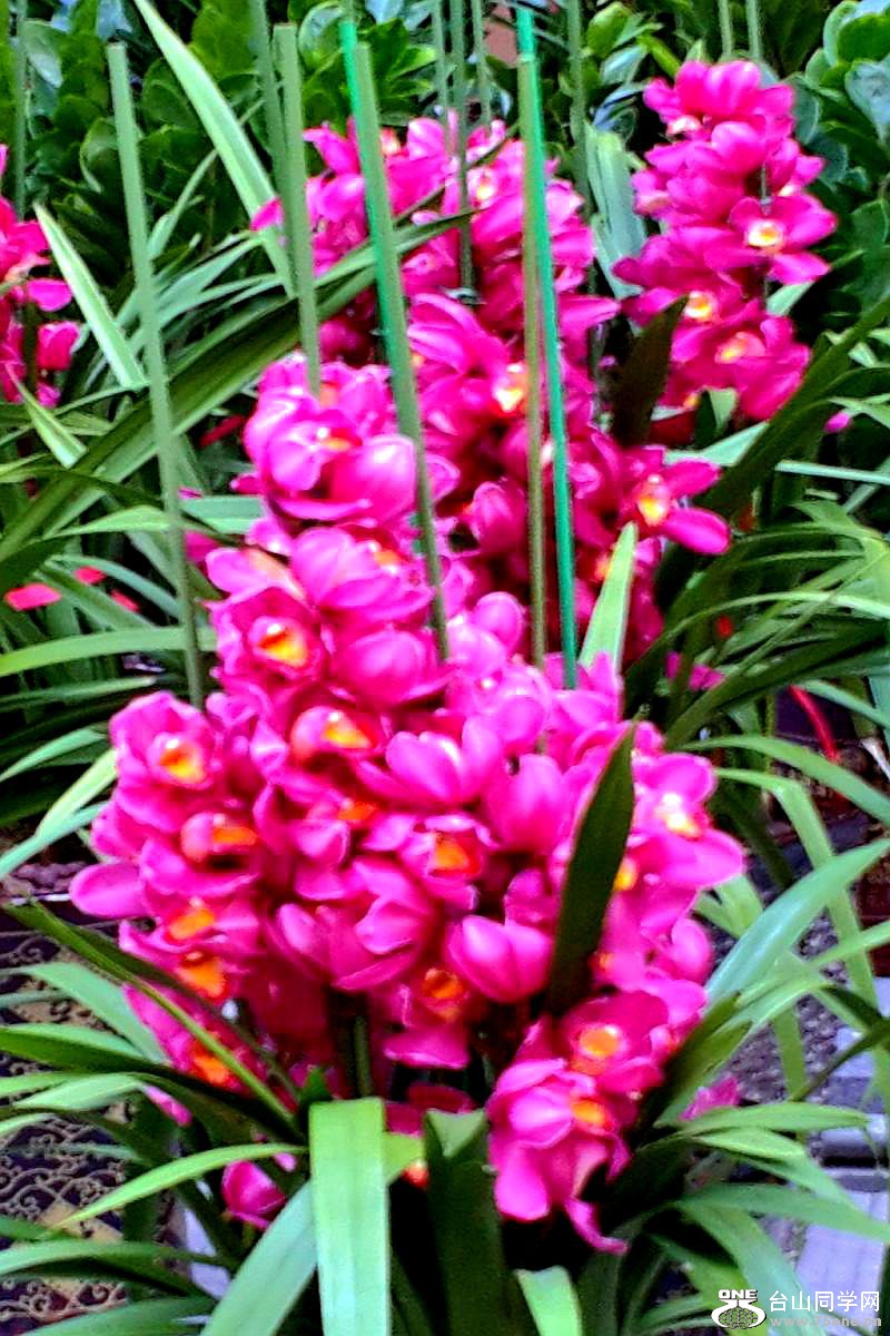 2015-02-13 19.49.00.jpg