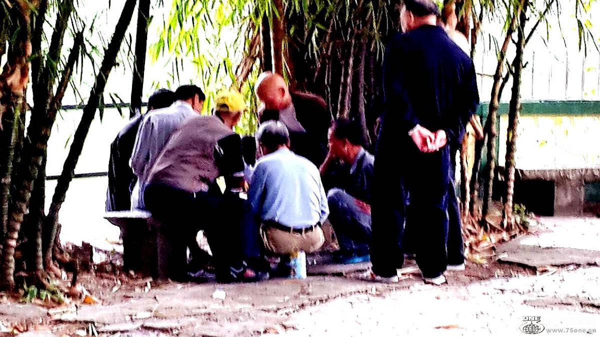 2015-01-28 15.43.37.jpg