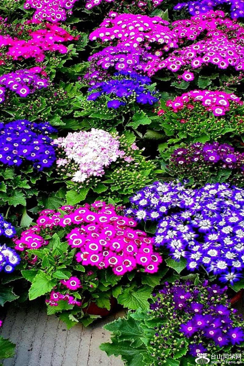 2015-02-13 19.57.47.jpg