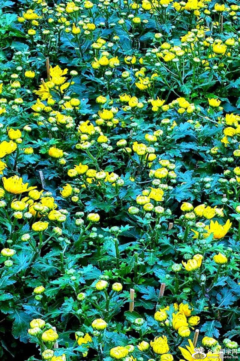 2015-02-13 19.47.41.jpg