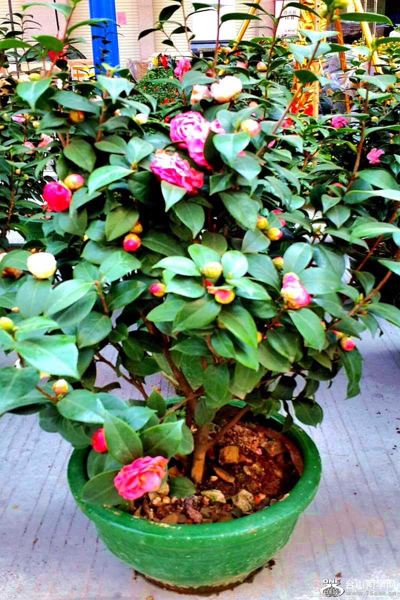 2015-02-13 19.48.43.jpg