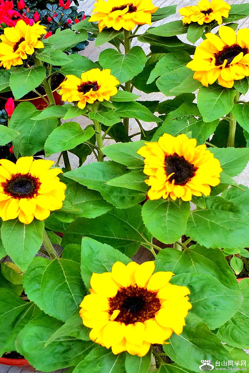 2015-02-13 19.45.10.jpg