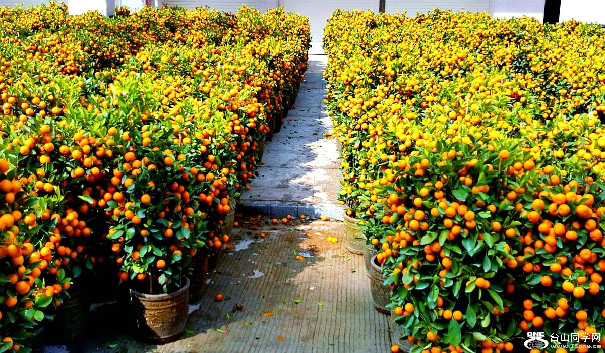 2015-02-13 19.51.57.jpg