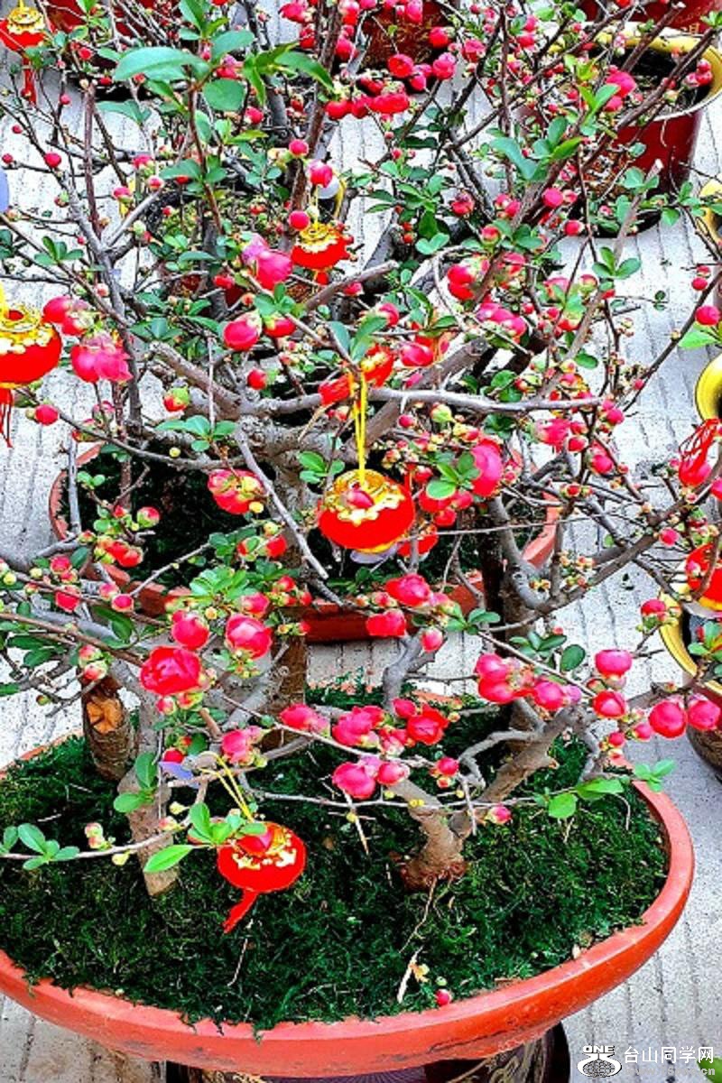 2015-02-13 19.46.11.jpg