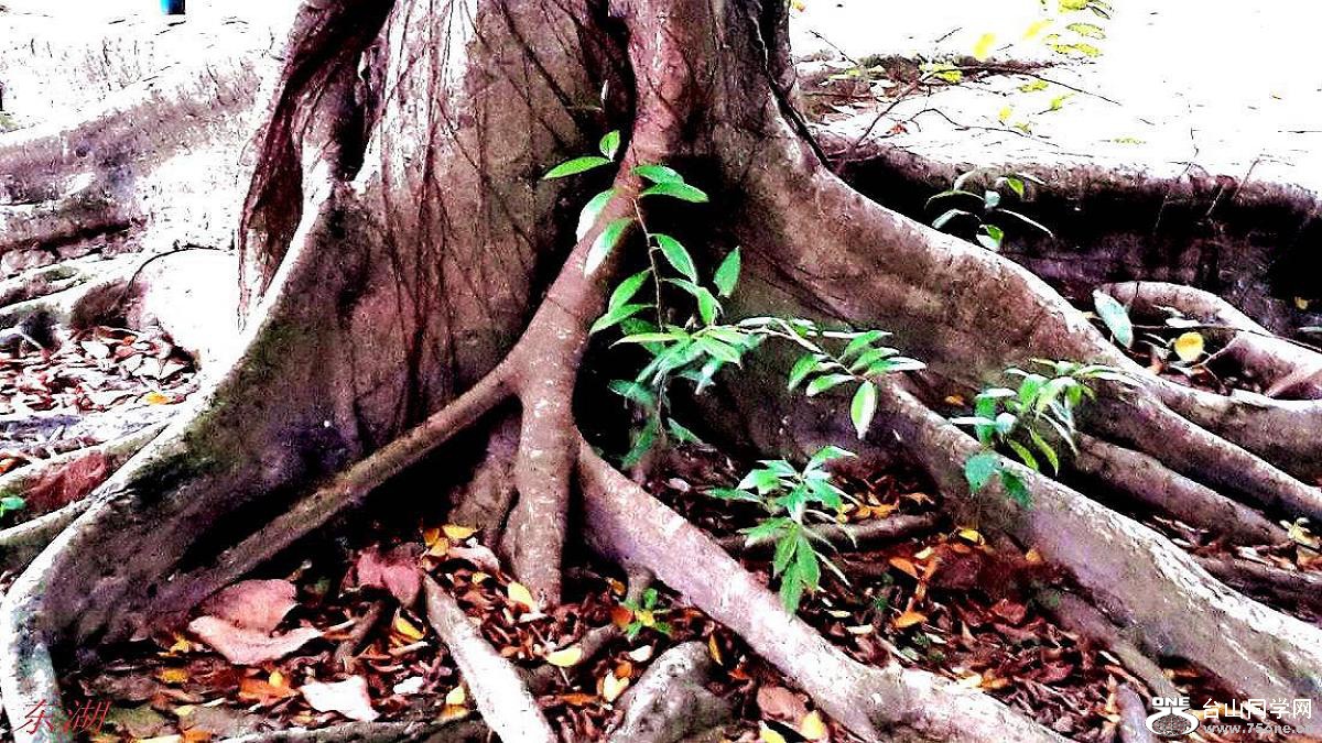 2015-01-27 15.47.37.jpg