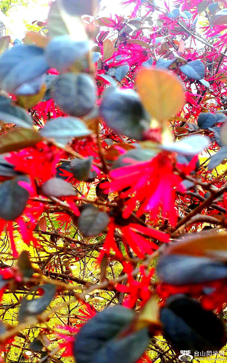 2015-02-02 20.19.12.jpg