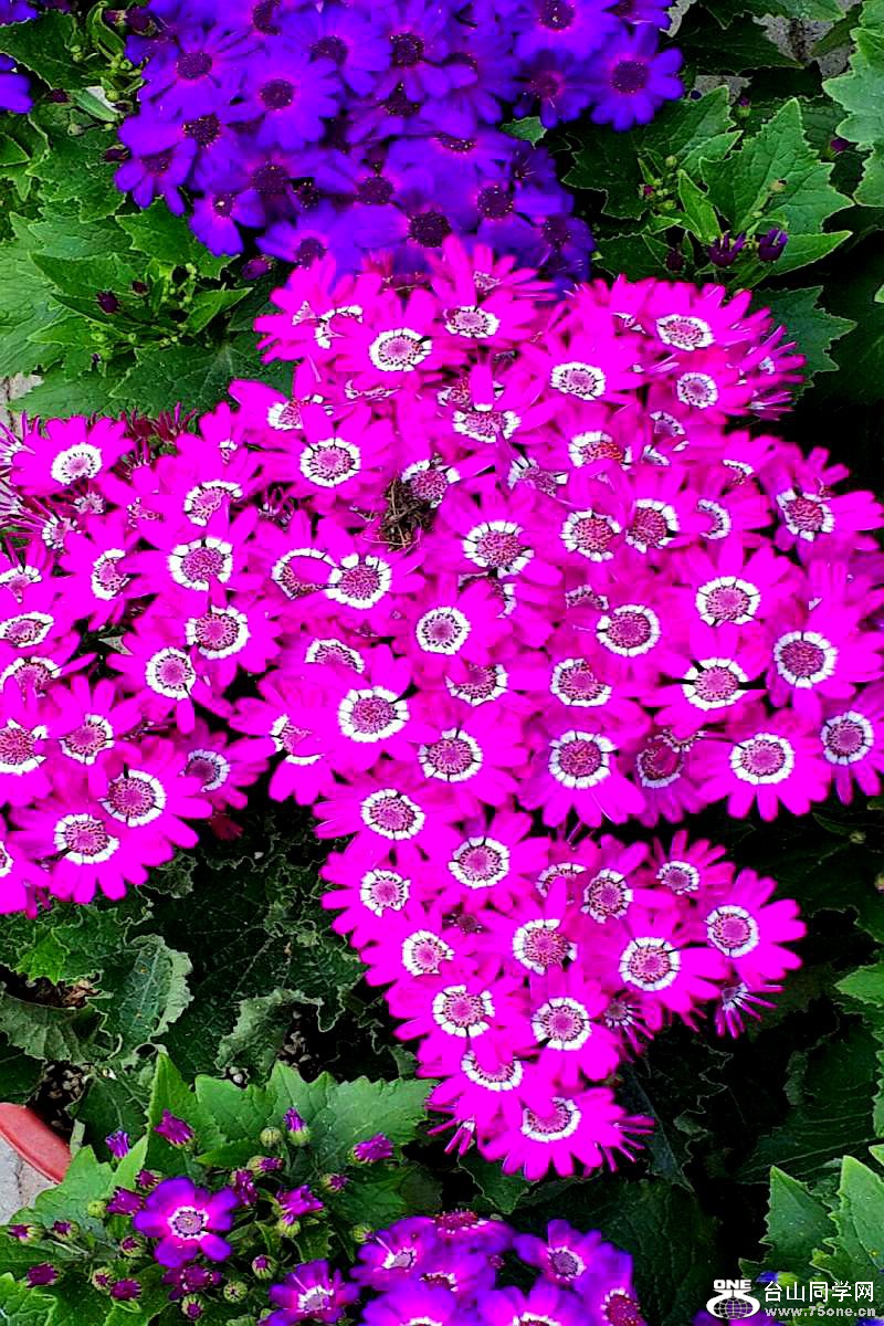 2015-02-13 19.54.22.jpg