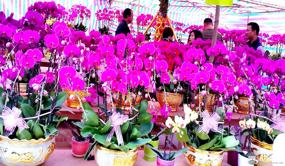 2015-02-13 19.42.10.jpg