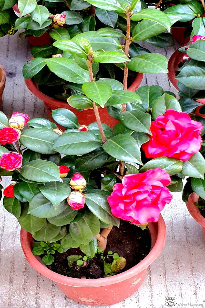 2015-02-13 19.46.44.jpg