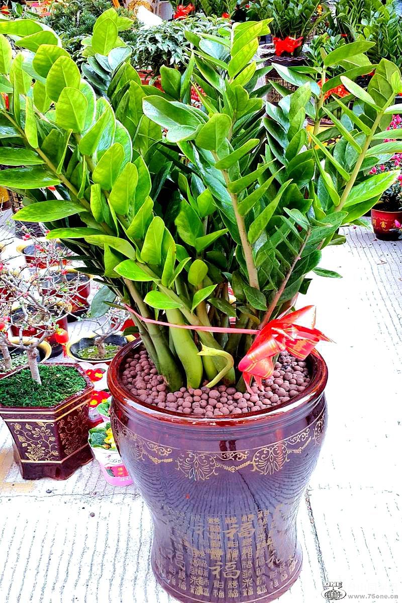 2015-02-13 19.45.57.jpg